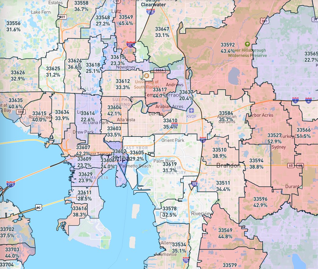 hillsborough-fl-sees-price-cuts-homes-for-sale-and-total-inventory-analysis-in-2025